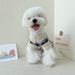 Pet Clothes Two-Legged Sweater For Cats, Teddy, Poodle, Small Dogs, Puppies, Spring, Autumn, Winter Outfit_voghion.com