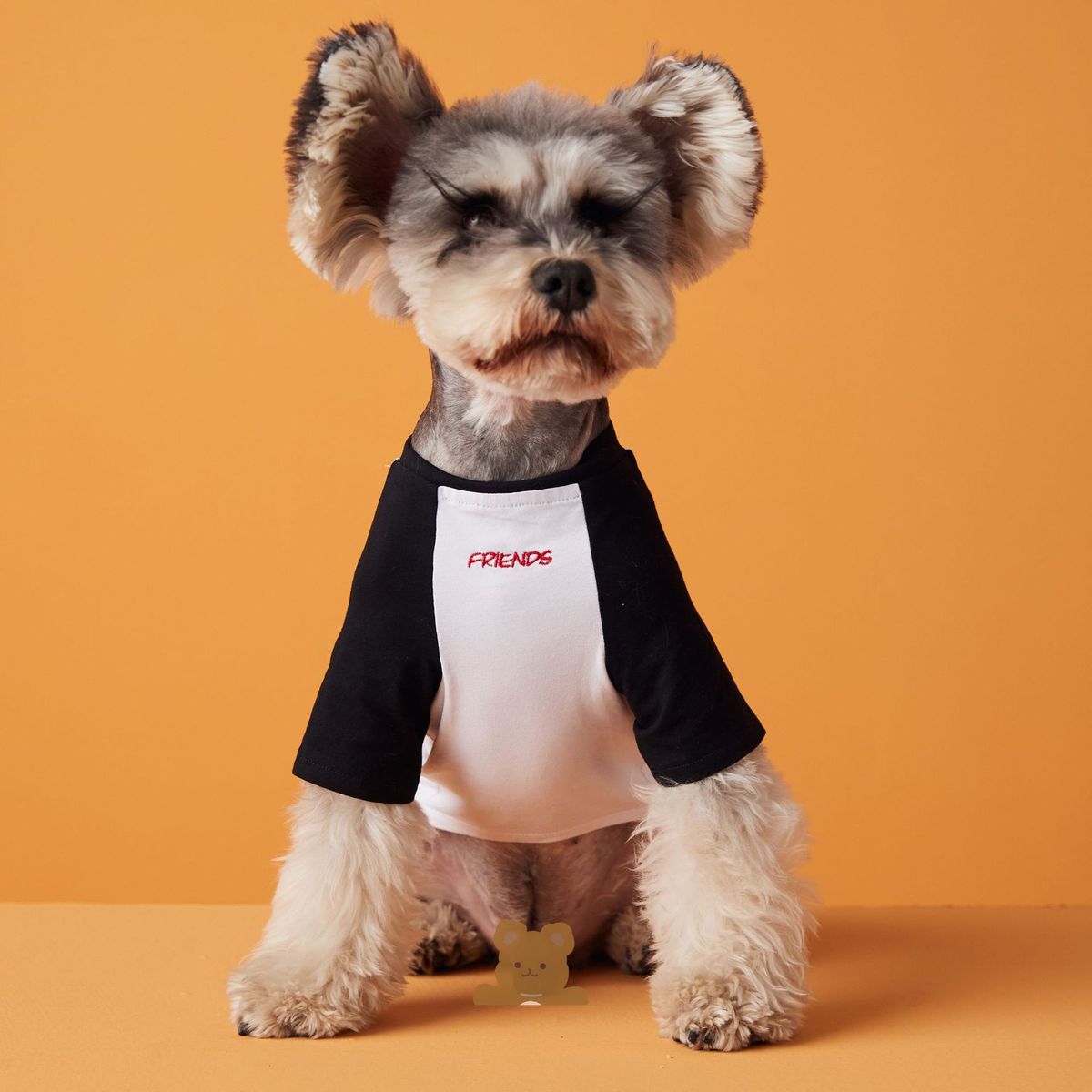 Puppykleding Zomer Dunne Kleur-Block Geborduurde Maltezer Yorkshire Terriër Teddy Schnauzer Pomeriaan Korte Mouw_voghion.com