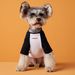 Puppykleding Zomer Dunne Kleur-Block Geborduurde Maltezer Yorkshire Terriër Teddy Schnauzer Pomeriaan Korte Mouw_voghion.com