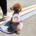 Small Pet Backpack Teddy Bichon Leash Cat Harness Dog Walking_voghion.com