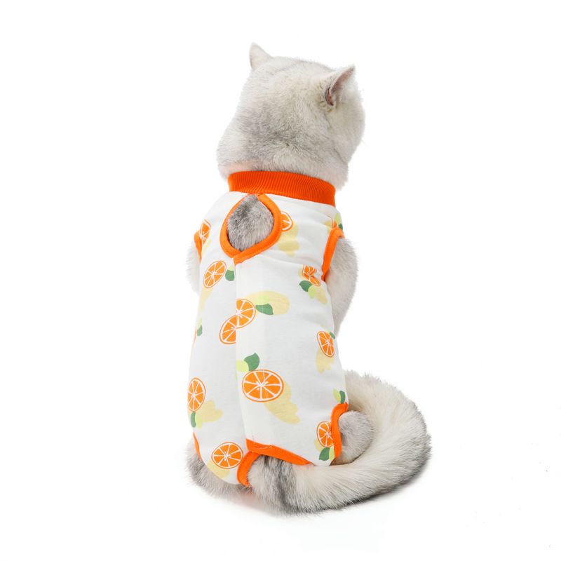 Cat sterilization postpartum spring summer new cat surgical clothing, anti licking and weaning clothing_voghion.com