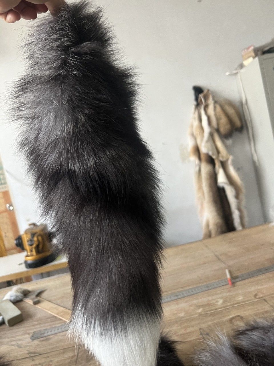 Prezzo speciale, ciondolo per borsa in vera pelliccia di volpe importato, coda di gatto, giocattolo per arricchimento e gioco di ruolo, circa 50 cm_voghion.com