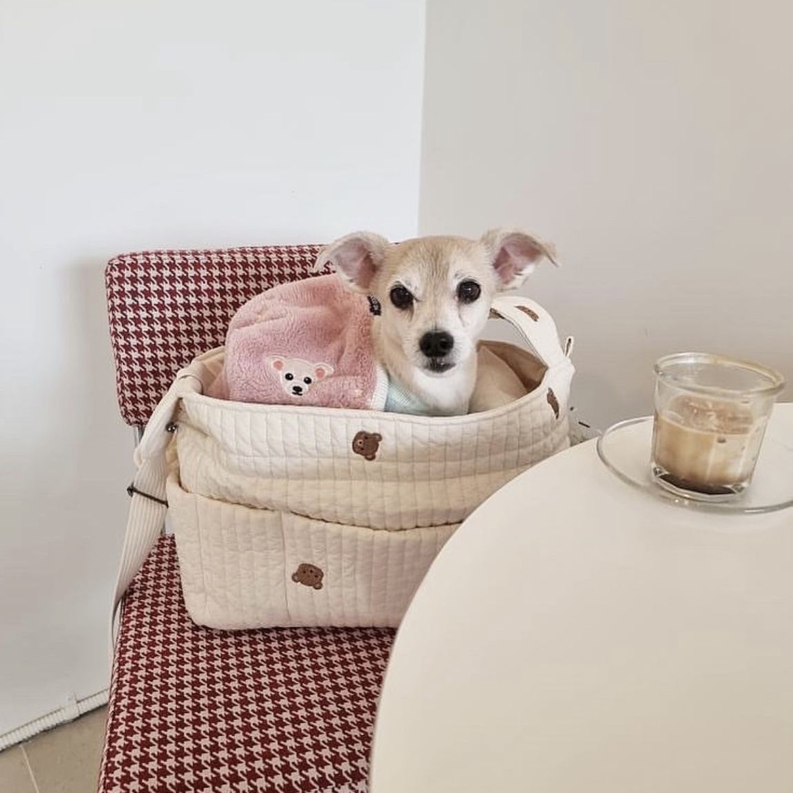 INS Borsa a tracolla per animali domestici coreana da esterno, grande capacità, traspirante, portatile, per cani e gatti_voghion.com