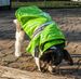 Reflecta-Glow Reflective Waterproof Adjustable Pvc Pet Raincoat_voghion.com