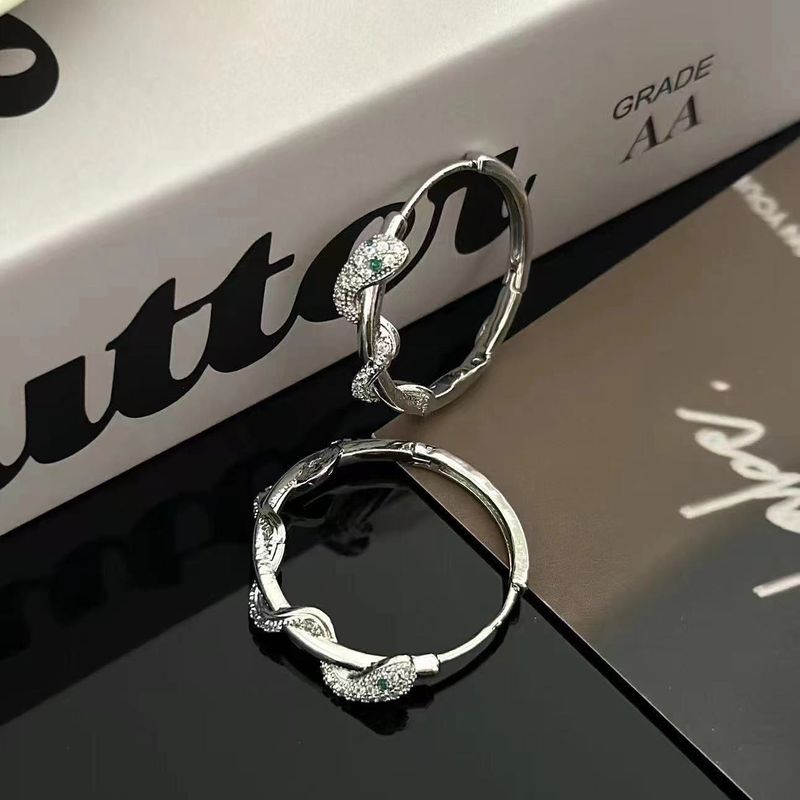 Cold Style Snake Shaped Earrings For Women, New Style, Light Luxury, Niche Design, Simple And Versatile, Personalized, High End Earrings_voghion.com
