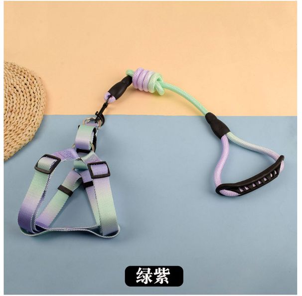 Round Safety Belt Large Leash Gradient Color Pet Explosion-Proof Thickened Dog Walking Rope_voghion.com