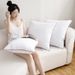 Rectangular Pillow Insert Set - 4-Size High Density Polyester Fiber Filling For Sofa & Bed Cushions Non-Sagging Pillow Core Hypoallergenic_voghion.com