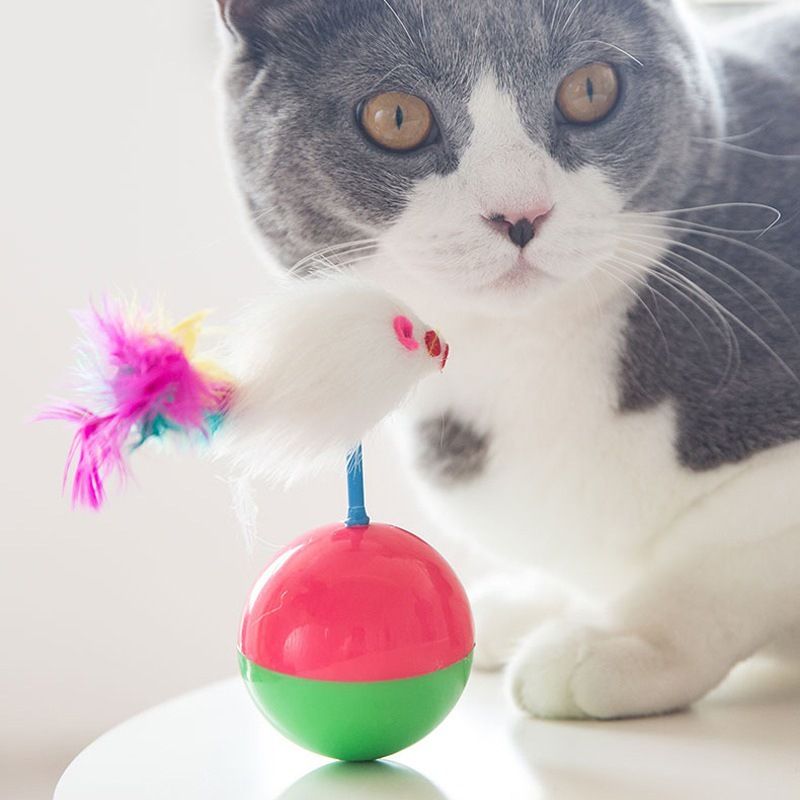 Feather Tumbler For Adult Cats And Kittens, Home Entertainment Teaser Wand, Companion Ball Pet Cat Toy_voghion.com