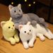 Plush Cat Realistic 31cm Doll Soft Stuffed Kitten Toy In Pure Grey White Yellow And More For Pet Kids Collection_voghion.com