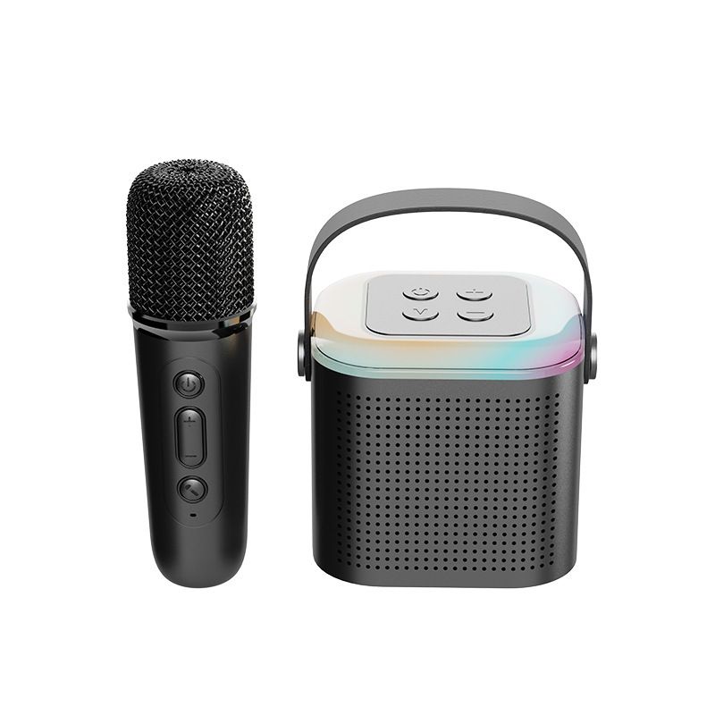 Mini altoparlante Karaoke Bluetooth con microfono - Sistema KTV portatile per bambini e uso domestico_voghion.com