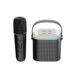 Mini altoparlante Karaoke Bluetooth con microfono - Sistema KTV portatile per bambini e uso domestico_voghion.com