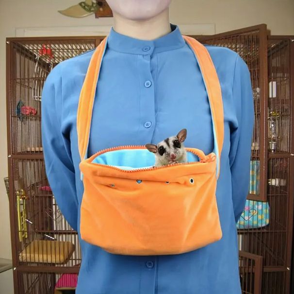 Outing Carrying Hamster Mole And Other Small Pet Shoulder Bag_voghion.com