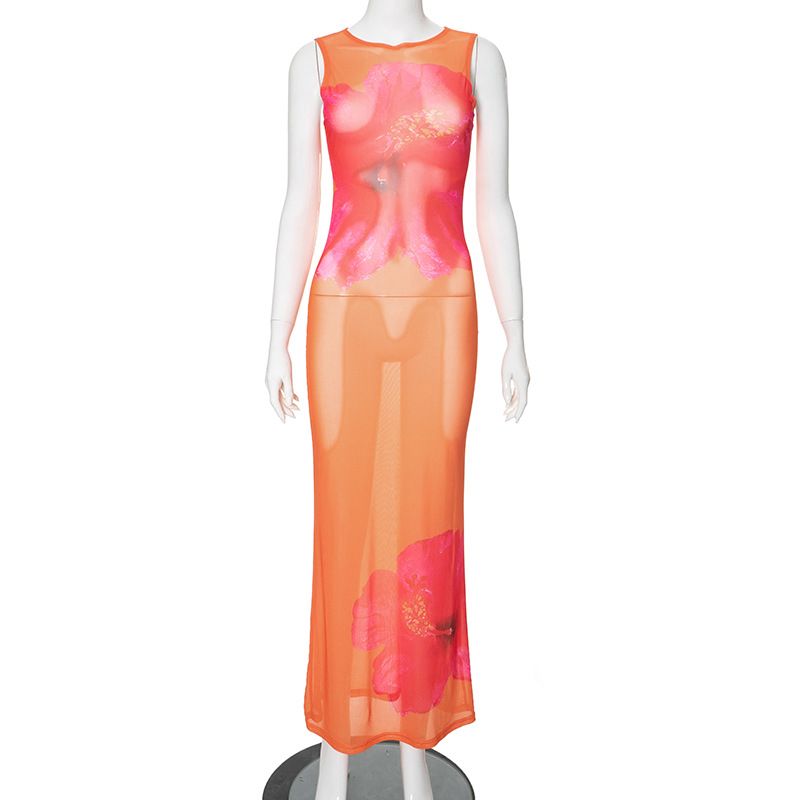 Europese en Amerikaanse zomerjurk voor dames, nieuwe casual, bedrukte ronde hals, mouwloze mesh, doorschijnende slanke lange jurk_voghion.com
