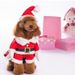 Abito giapponese 3D trasformato in costume natalizio per cani._voghion.com
