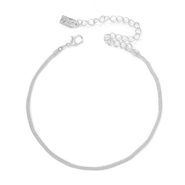 Unique Niche Fashion Versatile Internet Celebrity Same Style Flat Snake Bone Ankle Chain Anklet Women's Accessories_voghion.com