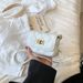 ins cross border internet celebrity Xiao Xiangfeng girls gold coin mini waist bag chest bag crossbody lipstick accessories bag women's bag_voghion.com