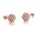Unisex beliebter Schmuck Rosegold galvanisierte Mikro-Intarsien-Zirkon-Kugelohrringe Beliebte Damenohrringe_voghion.com