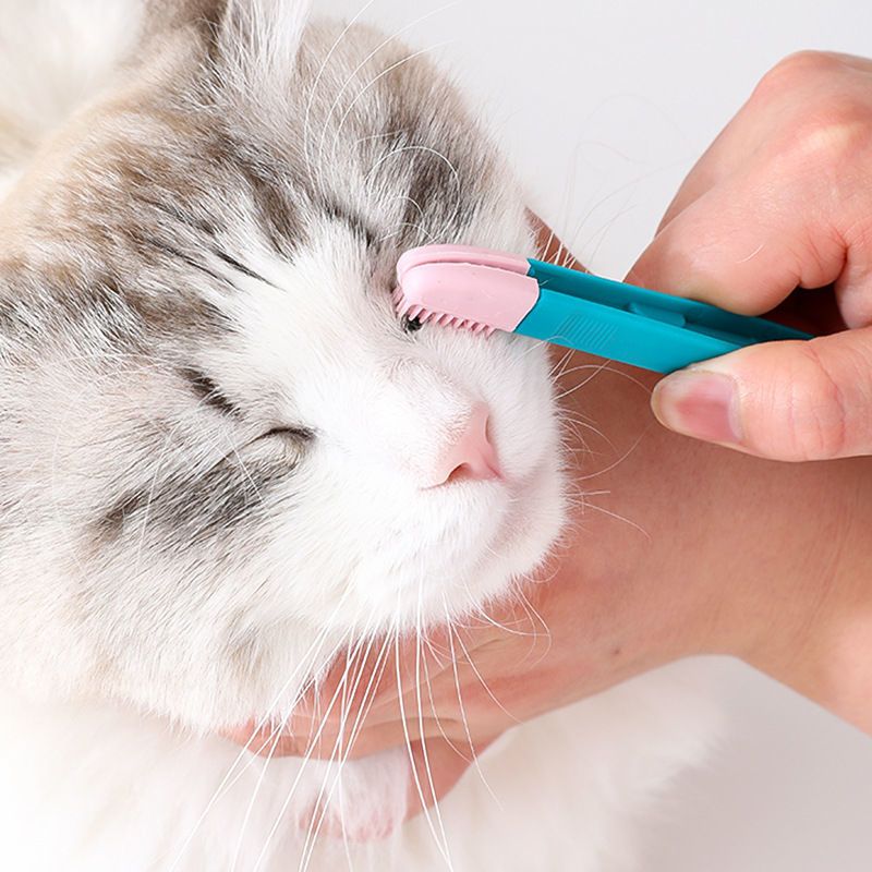 ¡Cuida a tu mascota como un profesional con este cepillo peine para ojos profesional para mascotas!_voghion.com