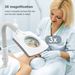 Professional Steamer, 2 In 1 Ozone Facial Steamer On Wheels With 3X Magnifying Lamp, Time Preset Function Design Face_voghion.com