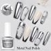 Metallic Mirror Nail Polish - No-Bake Quick Dry | Multi-Color High Shine Glossy Nail Lacquer For Instant Manicure_voghion.com