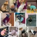 CDDMPET Warm Sweaters For Small Dogs By PawParty Store_voghion.com