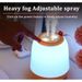 usb RYYD New Humidifier Small Aromatherapy Lamp Home Bedroom Office Desktop Air Water Supplement Double Spray_voghion.com
