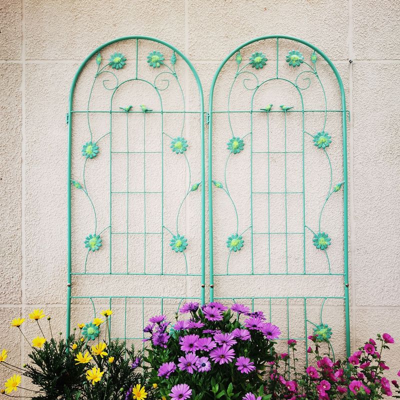 2 Pack Metal Garden Trellis 71" X 19.7" Rustproof Trellis For Climbing Plants Outdoor Flower Support Light Green_voghion.com