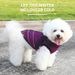 Nuovo con petto integrato, vestiti per cani di piccola taglia autunno e inverno, giacca in cotone impermeabile ispessita per cani_voghion.com