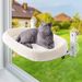 Pet Balcony Glass Sunbathing Hammock Cat Bed_voghion.com