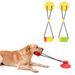 New Dog Treat Dispensing Durable Rubber Chew TPR Teeth Cleaning Stick With Suction Cup Stress Relief Toy_voghion.com