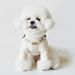 Guinzaglio per cani in pelle coreano di piccole dimensioni in PU, Teddy Bichon, imbracatura per esterni, corda di trazione_voghion.com