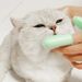 MOONBIFFY Soft Toothbrush For Dogs By PawParty Store_voghion.com
