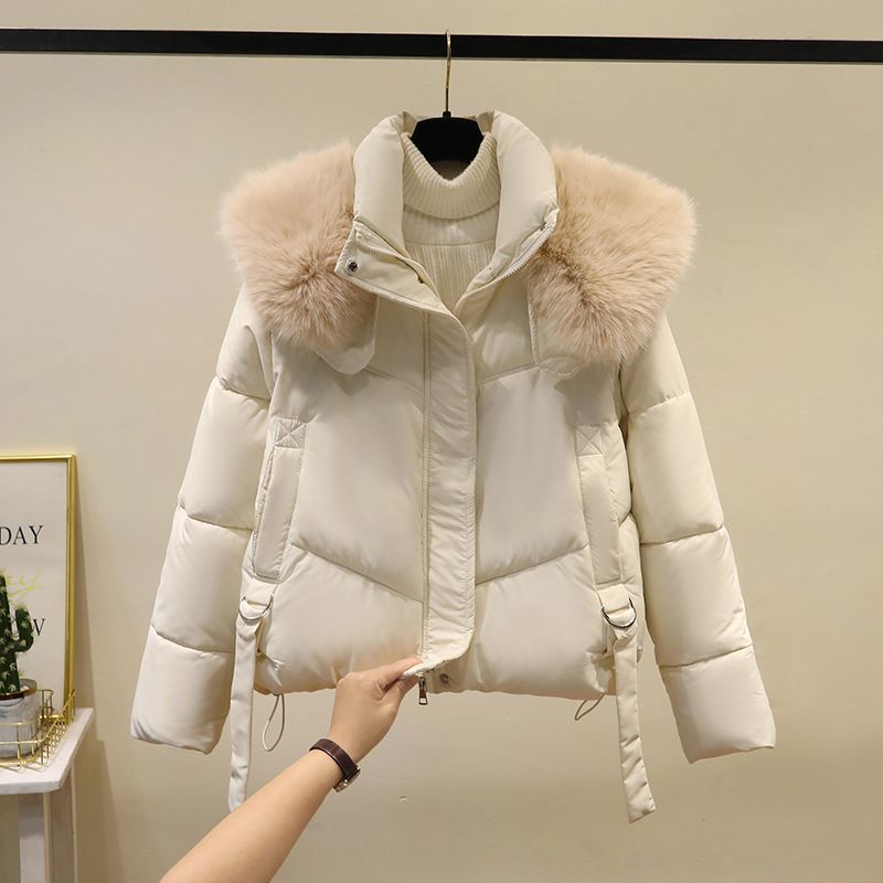 Women's Clothing winter new style fashionable loose thick cotton coat stylish big fur collar down cotton coat small slim women's cotton coat_voghion.com