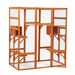 Large Cat Enclosure with 5 Perches, 2 Condos and 1 Lockable Door, Orange_voghion.com