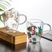 Double-Layer Coffee Household Glass High Temperature Resistant Anti-Scald Water Dried Flower Mug Exquisite Latte Cup_voghion.com