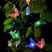 Stringa di luci a farfalla in fibra ottica solare 12 LED Luci colorate impermeabili per esterni Luci decorative per cortile da giardino_voghion.com