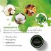 80g Activated Bamboo Charcoal Tooth Coconut Shell Whitening Powder Teeth Cleaning_voghion.com