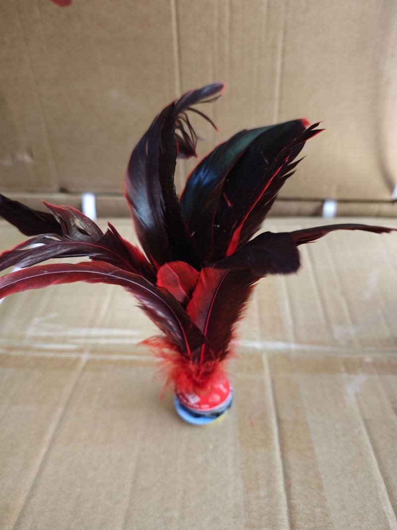 Children's Elementary School Students, Resistant To Kicking, Cow Tendon, Chicken Feathers, Key, Printable Shuttlecock,_voghion.com