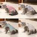 CDDMPET Sterilization Vest For Cats By PawParty Store_voghion.com