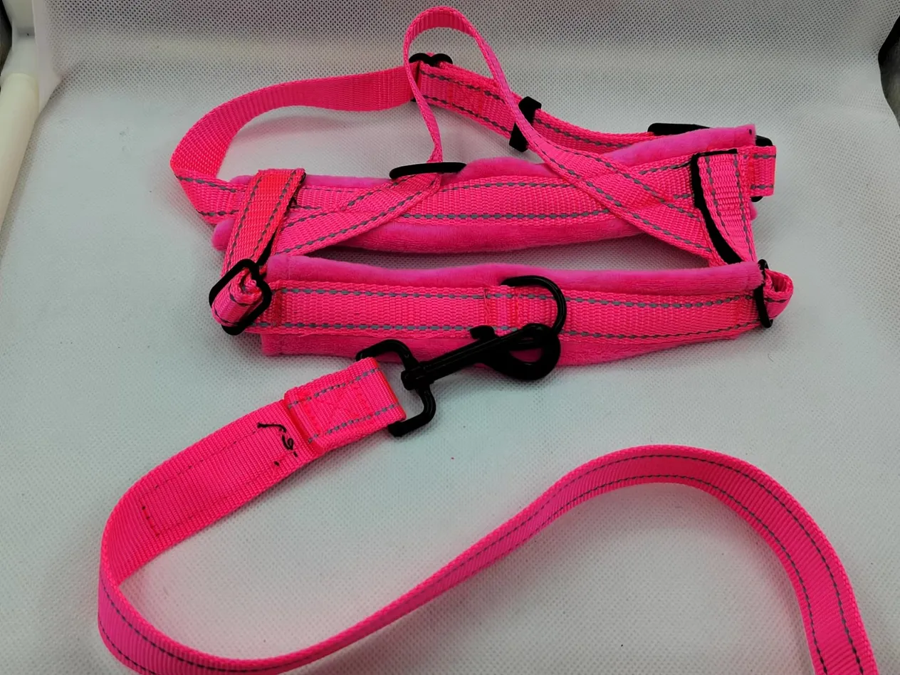 Straight Pet Supplies, ensemble de traction et de dos style gilet, sangle de poitrine réfléchissante en velours pour chien_voghion.com