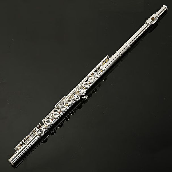 16 Open And Closed Hole C-key Nickel Plated Flute Instrument, Western Wind Beginner's Exam, General E-key Music_voghion.com