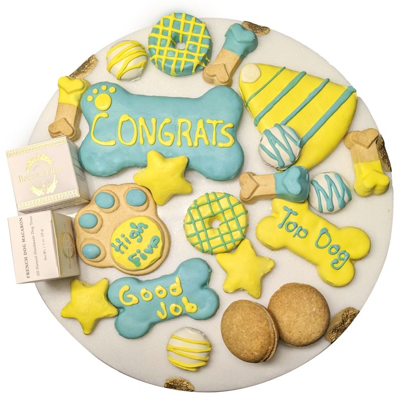 Congrats Themed Dog Treats Gift Box_voghion.com