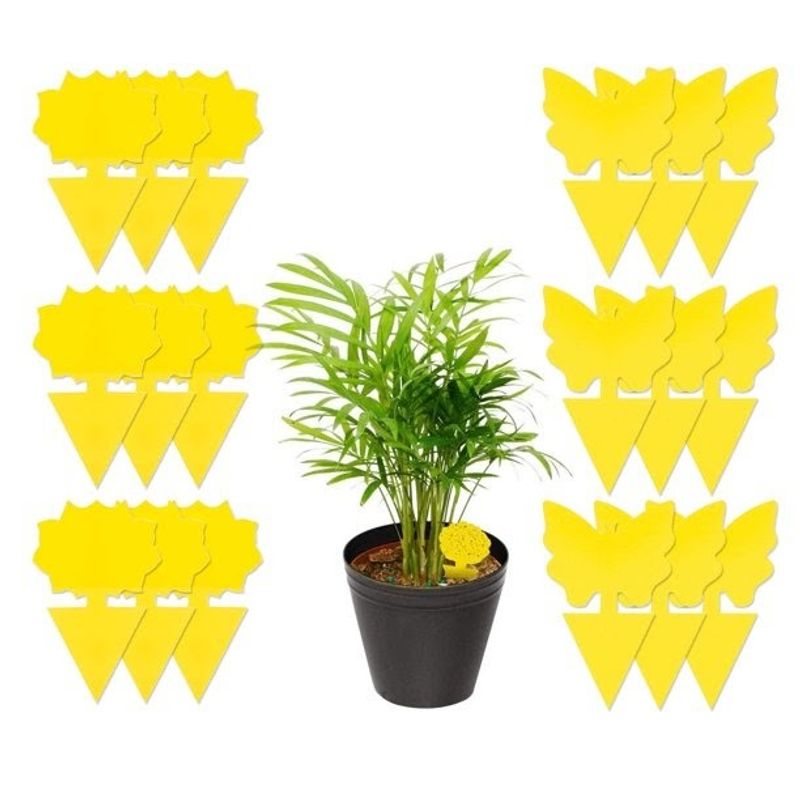 18/48 Pack Sticky Fruit Fly Trap and Fungus Gnat Traps Killer for Indoor and Outdoor, Protect The Plant, Non-Toxic and Odorless_voghion.com