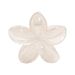 Jelly Color Plumeria Transparent Retro Leopard Aesthetic Plumeria Claw Clip - Back-of-Head Updo Shark Clip_voghion.com