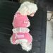Heartwarming New Pet Four-Legged Clothes For Small Dogs And Cats, Autumn Style With Many Bowknot Designs_voghion.com