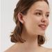 Orecchini da donna con zirconi intarsiati a forma di U, design di alta qualità, orecchini a forma di T, orecchini semplici_voghion.com