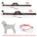 Beirui Leather Collar For Medium And Large Breed Dogs_voghion.com