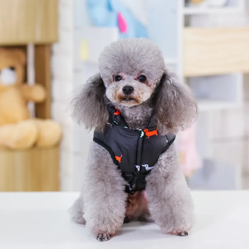 Pet clothes dog cotton-padded vest autumn and winter New Puppy cotton vest Teddy warm clothing manufacturers_voghion.com