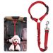 Pet Car Safety With Round Ring Elastic Retractable Reflective Strip Dog Leash_voghion.com