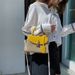 Damenhandtasche Umhängetasche Kleine frische Tasche Damen Umhängetasche Modische verschließbare Strohtasche Lässige Handtasche Schulter Kleine quadratische Tasche_voghion.com